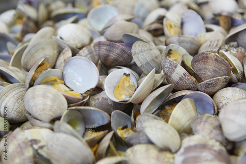 Fresh clams dish