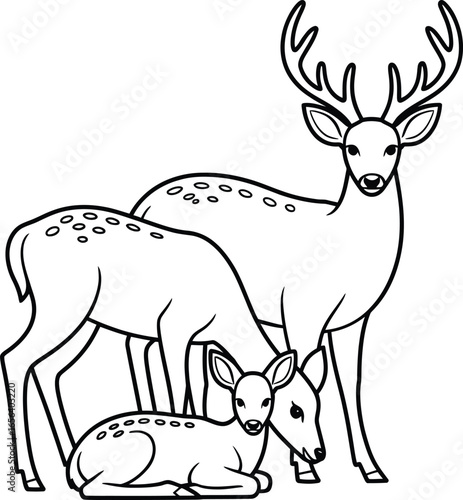 Line art of a family of deer: buck, doe, and fawn, a wildlife vector.