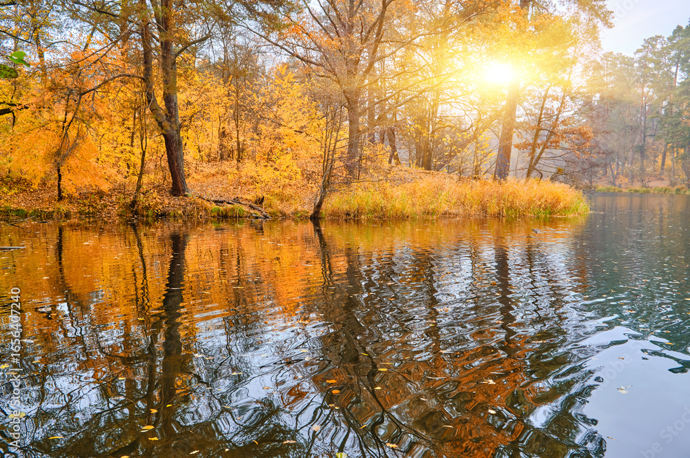 Obraz premium Autumn Forest and Gazebo Reflected in Lake