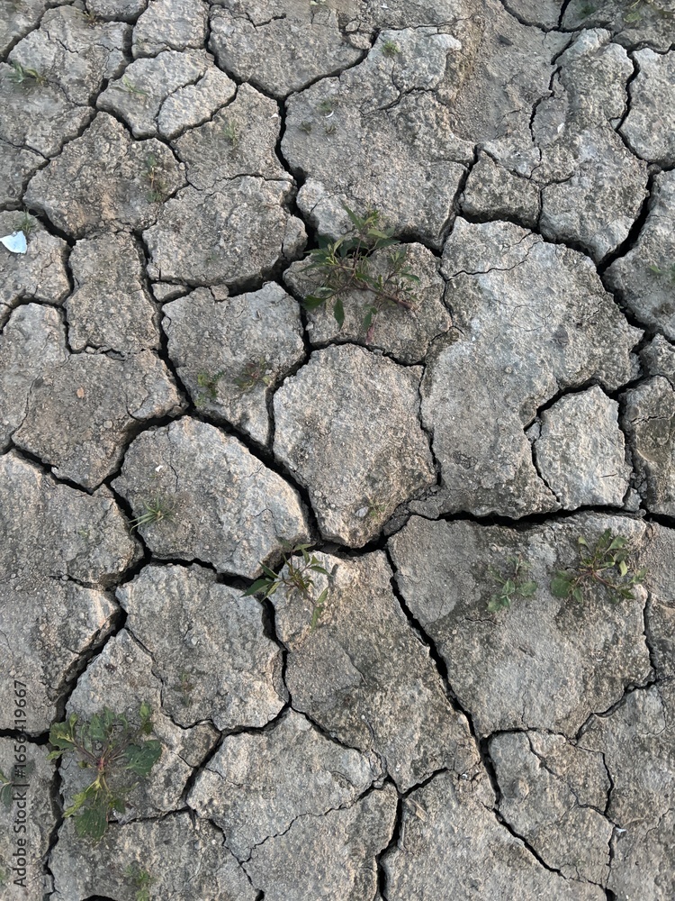 Completely grey dry ground after the lake dried, like a desert 