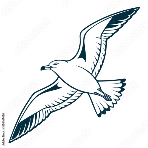 vector illustration of a flying seagull