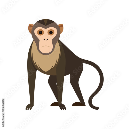 Illustration of a Macaque Monkey on a White Background for Creative Projects