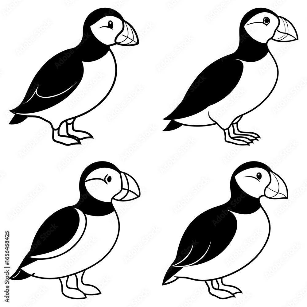 Obraz premium Illustration showing four puffin birds with black and white plumage in different poses on a white background