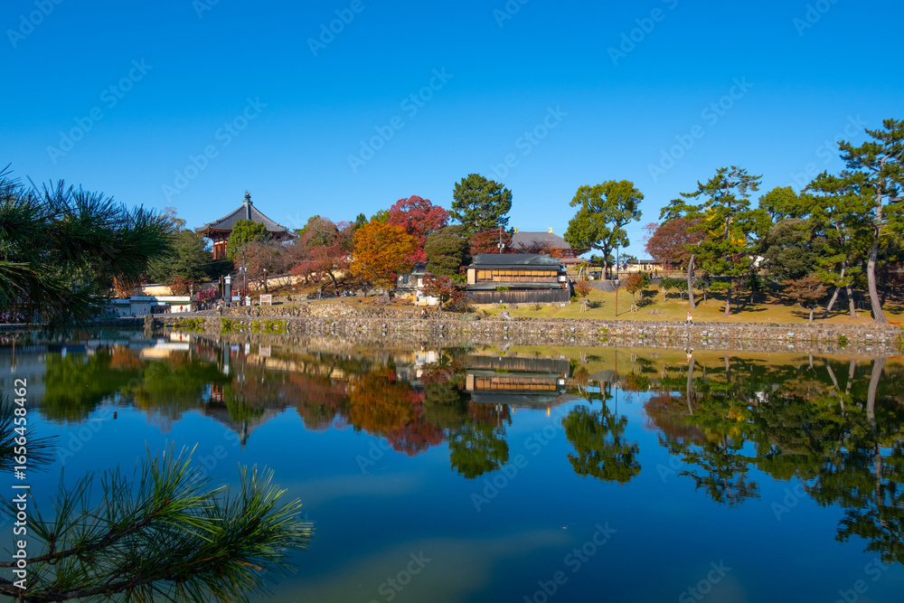 Fototapeta premium 奈良、奈良公園、紅葉、五重塔、歷史名勝、水、池塘、木、綠色、青空、秋、絶景、写真素材
