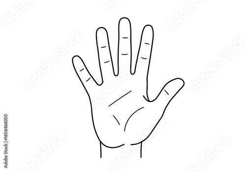 A hand illustration features five fingers with dividing lines and is outlined in black against a stark white background