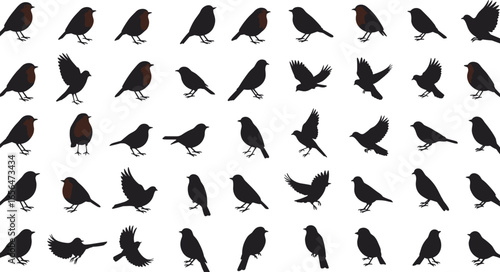 Bird silhouette collection, robin bird illustrations, flying and standing birds, bird icon set, vector wildlife shapes, black bird silhouettes