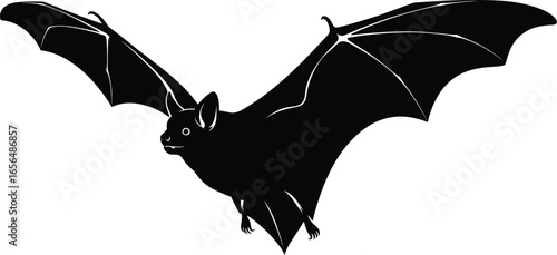 Mysterious black bat silhouette in flight against a white background