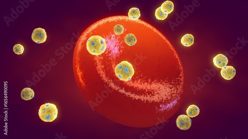 Good cholesterol or High-density lipoprotein particles (HDL) in the bloodstream. PCSK9 inhibitors are a novel treatments for high cholesterol and work in combination with statins
