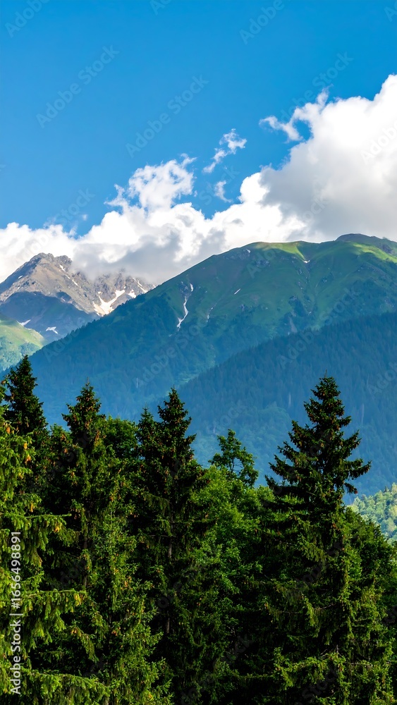 Fototapeta premium Mountain landscape with lush forest