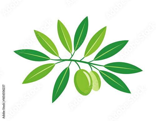 Minimal Olive Branch Design on White Background