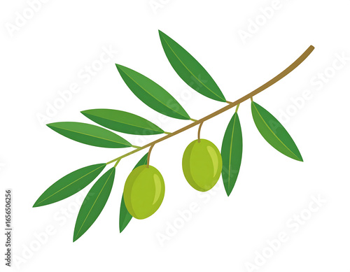 Green Olive Leaves Flat Icon Graphic Asset