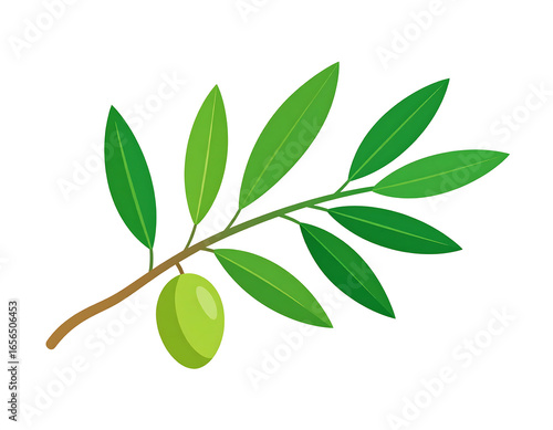 Olive Branch Vector Isolated on White