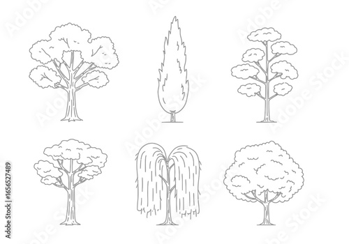 Six tree sketches broad columnar tiered weeping and bushy styles depicted in simple gray outlines