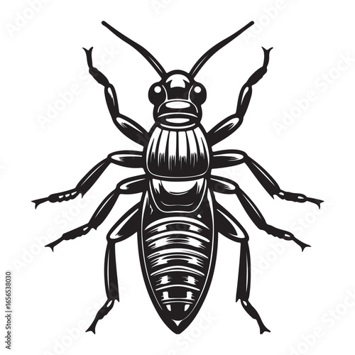 A Detailed Macro Shot of an Earwig, a Common Household Pest with a Unique Pincer-like Tail, Crawling on a Wooden Surface