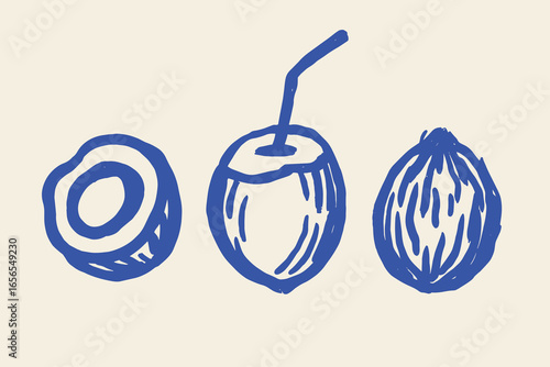 Coconut fruit set sketch style vector illustration
