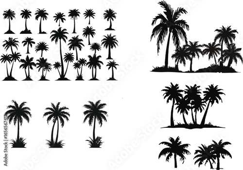 Palm trees silhouettes set with tropical nature illustration