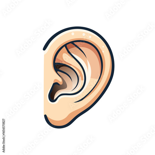 Illustration of a Human Ear Anatomy Body Part Hearing Sense Organ