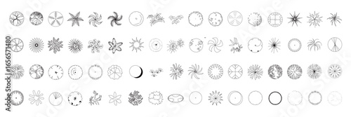 Top View Vector Icons of Trees and Plants for Floor Plan and Architectural Design Projects	