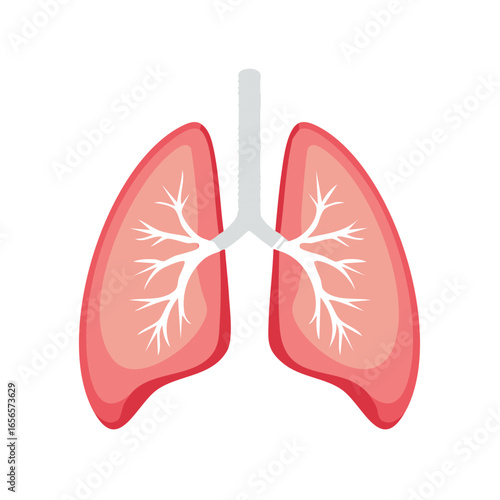 Illustration of Healthy Human Lungs and Trachea in Medical or Educational Concept