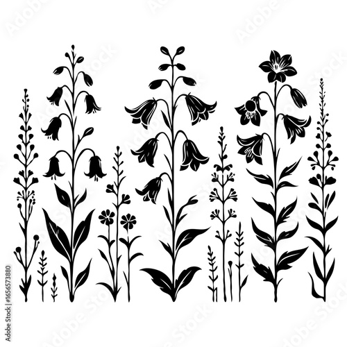 Flower illustration, Campanula Doodle Set. Vector bellflower plants. Line art flowers and Buds Drawing Outline stems, leaves, grasses, bouquet. Elegant Floral Collection Hand Drawn Botanical. 