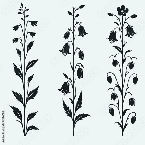 Flower illustration, Campanula Doodle Set. Vector bellflower plants. Line art flowers and Buds Drawing Outline stems, leaves, grasses, bouquet. Elegant Floral Collection Hand Drawn Botanical. 