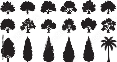 Collection of Black Tree Silhouettes in Various Shapes and Sizes nature plant