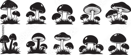 Collection of Black Silhouette Mushroom Illustrations with Grass Elements fungi nature