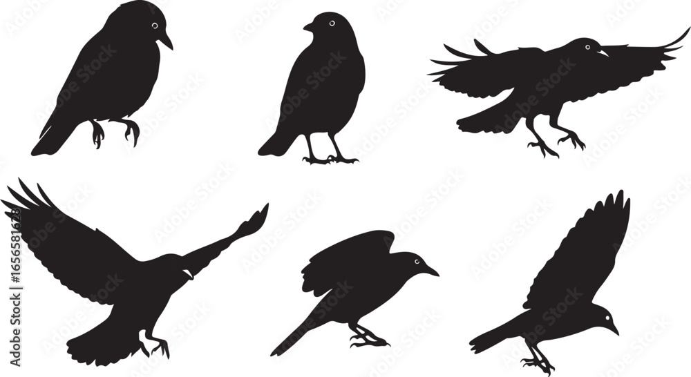 Fototapeta premium Silhouettes of Various Birds in Flight and Perched Positions avian wildlife