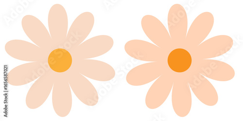 Hand drawn vector illustration of a daisy flower on a white background with a colorful floral pattern. chamomile cartoon flowers and elegant fashionable stripes. Summer green chamomile flower field. 
