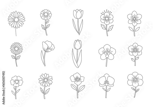 Assorted line art flowers daisy tulip  orchid arranged in a grid pattern