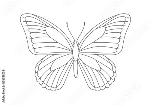 Outlined butterfly drawing wings extended with antennae and segmented wing patterns