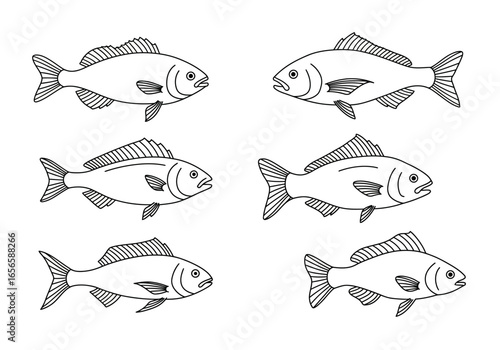 Six lineart fish arranged in two rows on a white background showcasing a symmetrical design