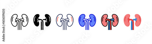 Kidneys icon set multiple style collection.