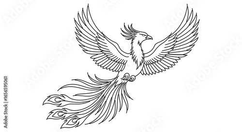 Phoenix bird drawing line art illustration mythical creature wings flying phoenix tattoo design outline vector image