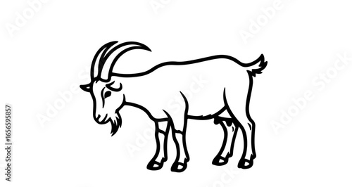 Goat outline drawing vector illustration farm animal mammal livestock horned goat isolated black and white line art