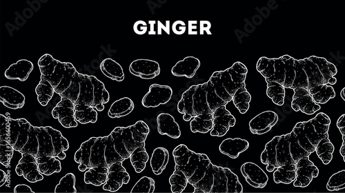 Ginger root sketch. Horizontal seamless pattern. Hand drawn vector illustration. Kitchen spice