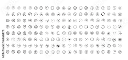 Top View Vector Icons of Trees and Plants for Floor Plan and Architectural Design Projects	