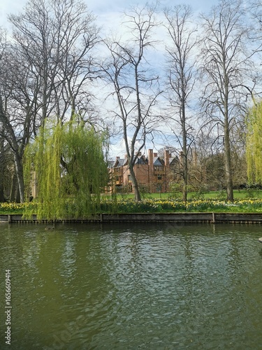 Picturesque view of the River Cam in Cambridge, with blossoming willows, daffodils, and historic college buildings in spring