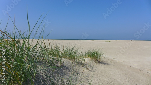 Strand Dünen auf Fanø, Sören Jessens Sand, Dänemark,