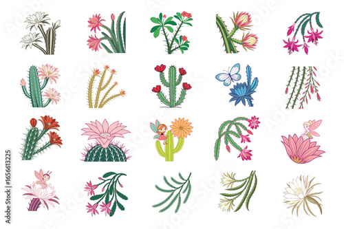 Diverse colorful cacti with vibrant blossoms and one fairy displayed on a white background
