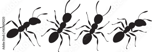 Ants Silhouette Vector Illustration on Plain Field for Scientific Study