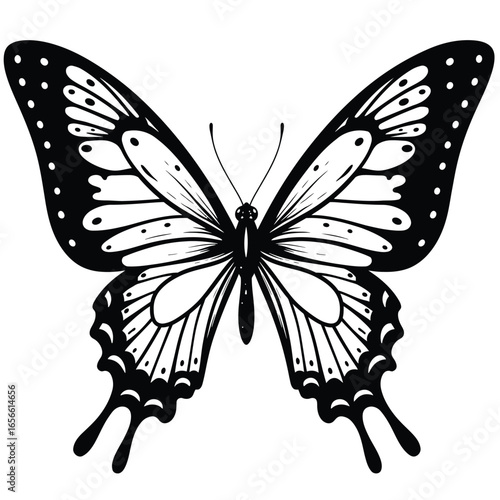 Black and white butterfly illustration with detailed wings