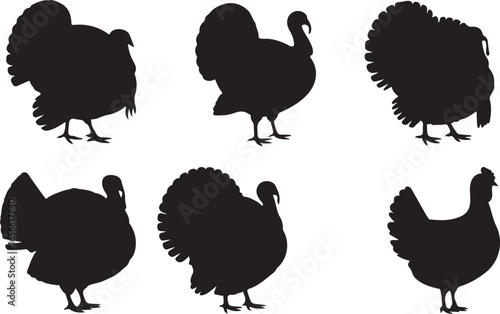 Turkey Silhouette Collection Vector Illustration Poultry Farm Bird Shape