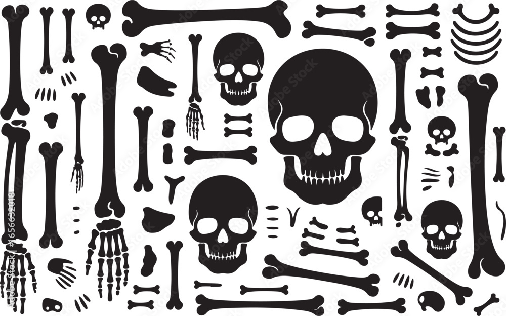 Fototapeta premium Skull and Bones Silhouette Set Skeleton Death Anatomy Vector Illustration
