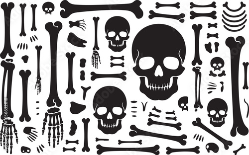 Skull and Bones Silhouette Set Skeleton Death Anatomy Vector Illustration