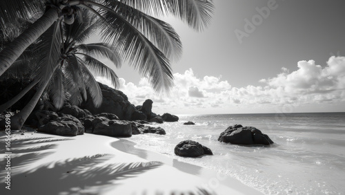 Fototapeta Naklejka Na Ścianę i Meble -  Serene beach scene featuring palm trees, soft waves, and rocky formations under bright sky. black and white tones enhance tranquil atmosphere