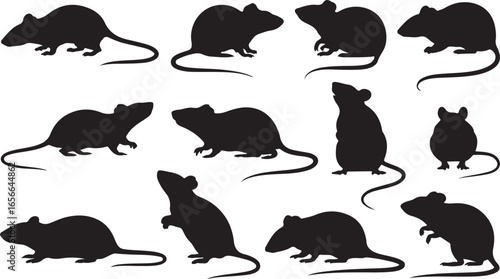 Silhouette Collection of Rodents Pests in Various Poses Vector Illustration