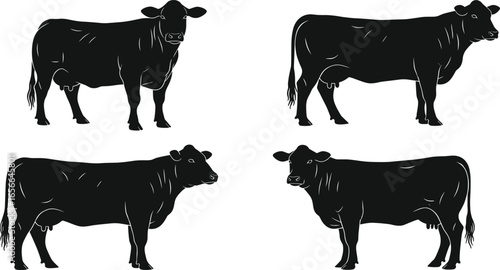 Cow silhouette vector set, farm animal clipart, black cattle shapes, livestock icons, beef cow illustration, rural graphic design