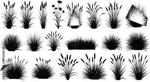 Grass silhouette vector set, garden plants, ornamental foliage, black nature shapes, landscaping clipart, bush icons, Adobe Stock illustration