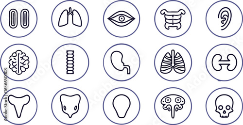 A set of vector web button icons with numbers and food illustration